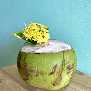Young Fresh Coconut